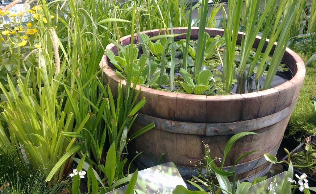 Vintønde 500 ltr - Ø90cm x H63CM