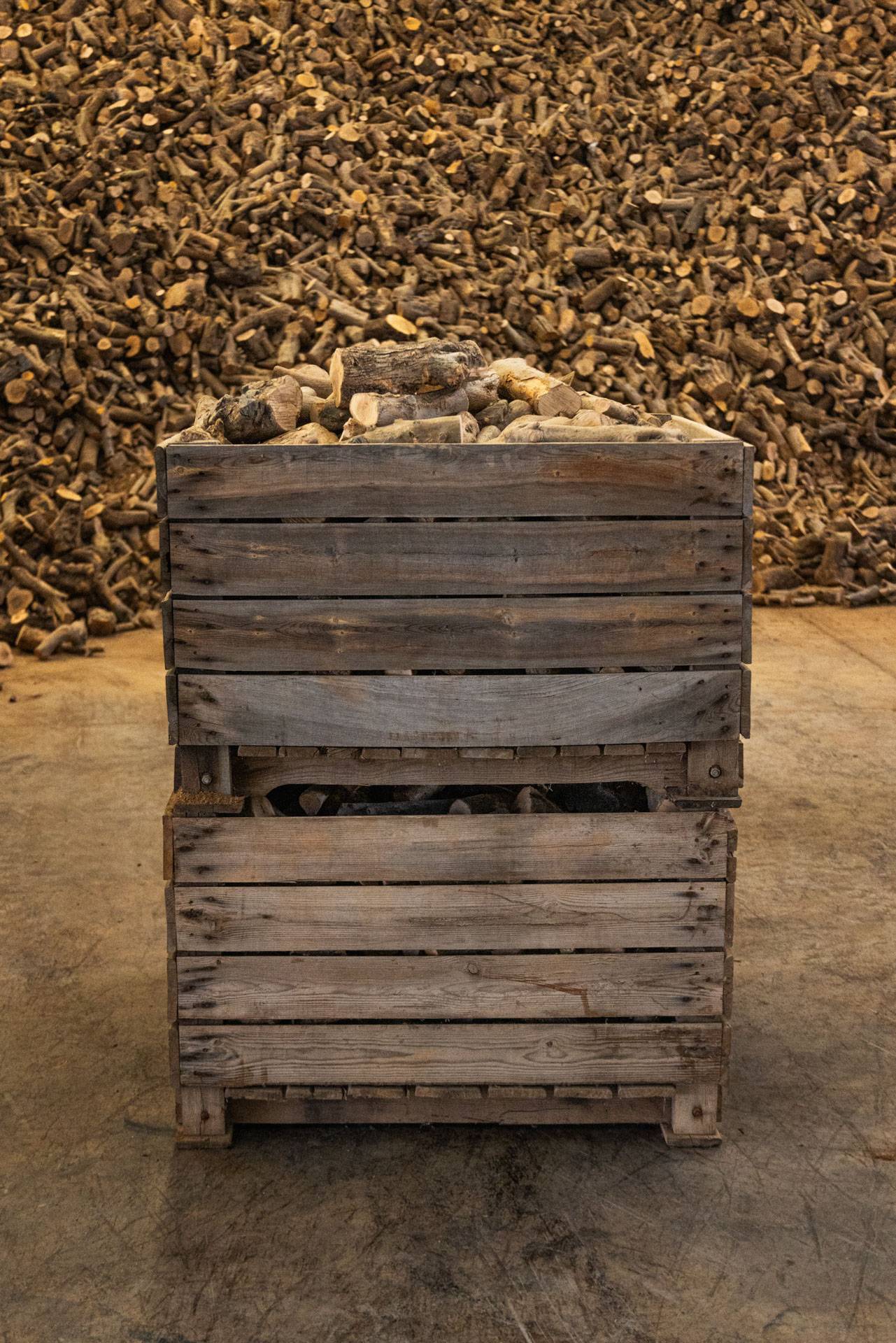 2 Kasser tørret olivenbrænde