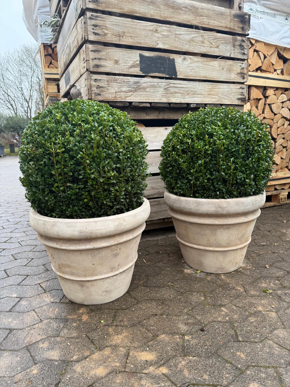 Havekrukke 'Florae choco' - naturlig terrocotta