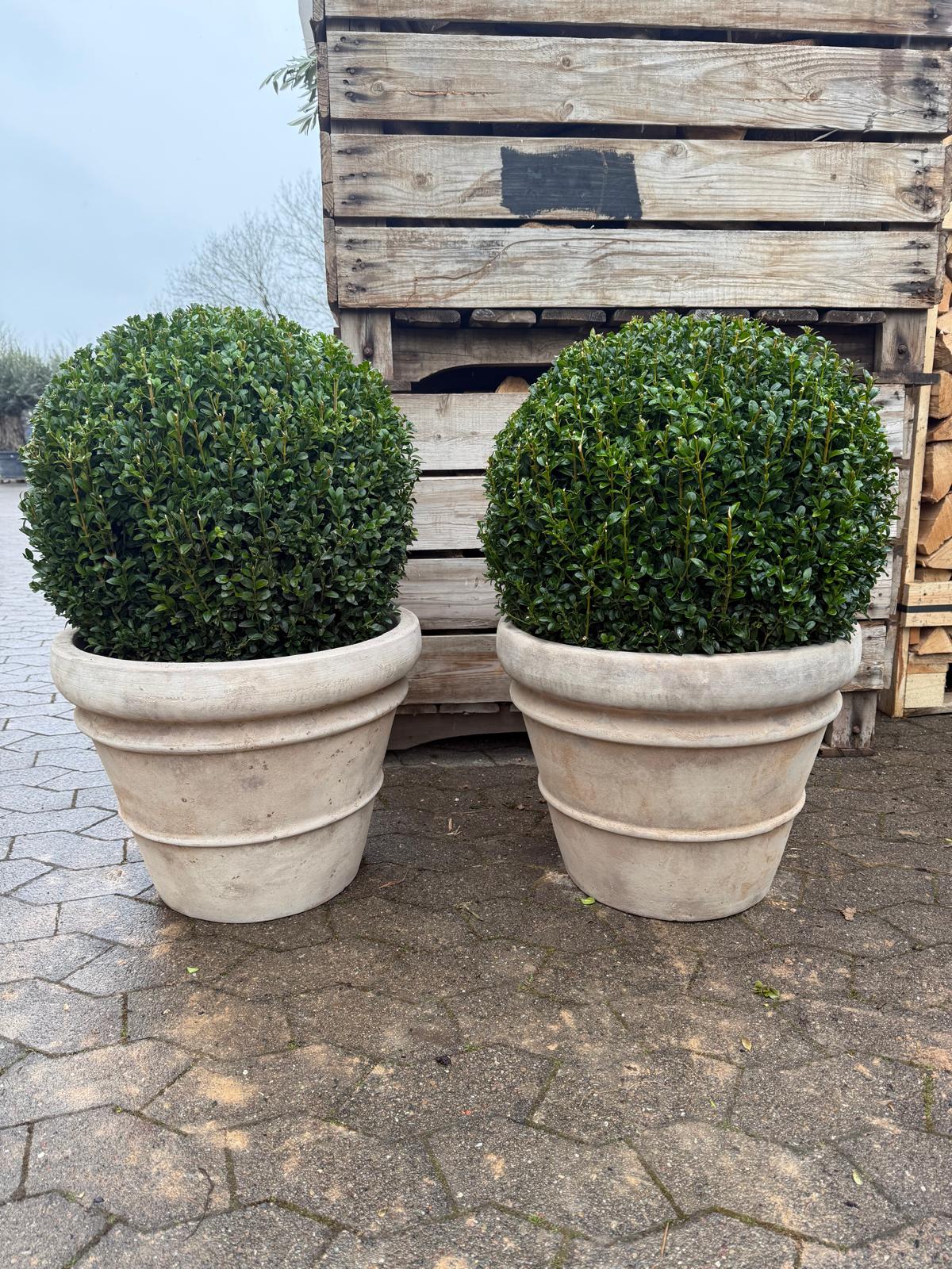 Havekrukke 'Florae choco' - naturlig terrocotta