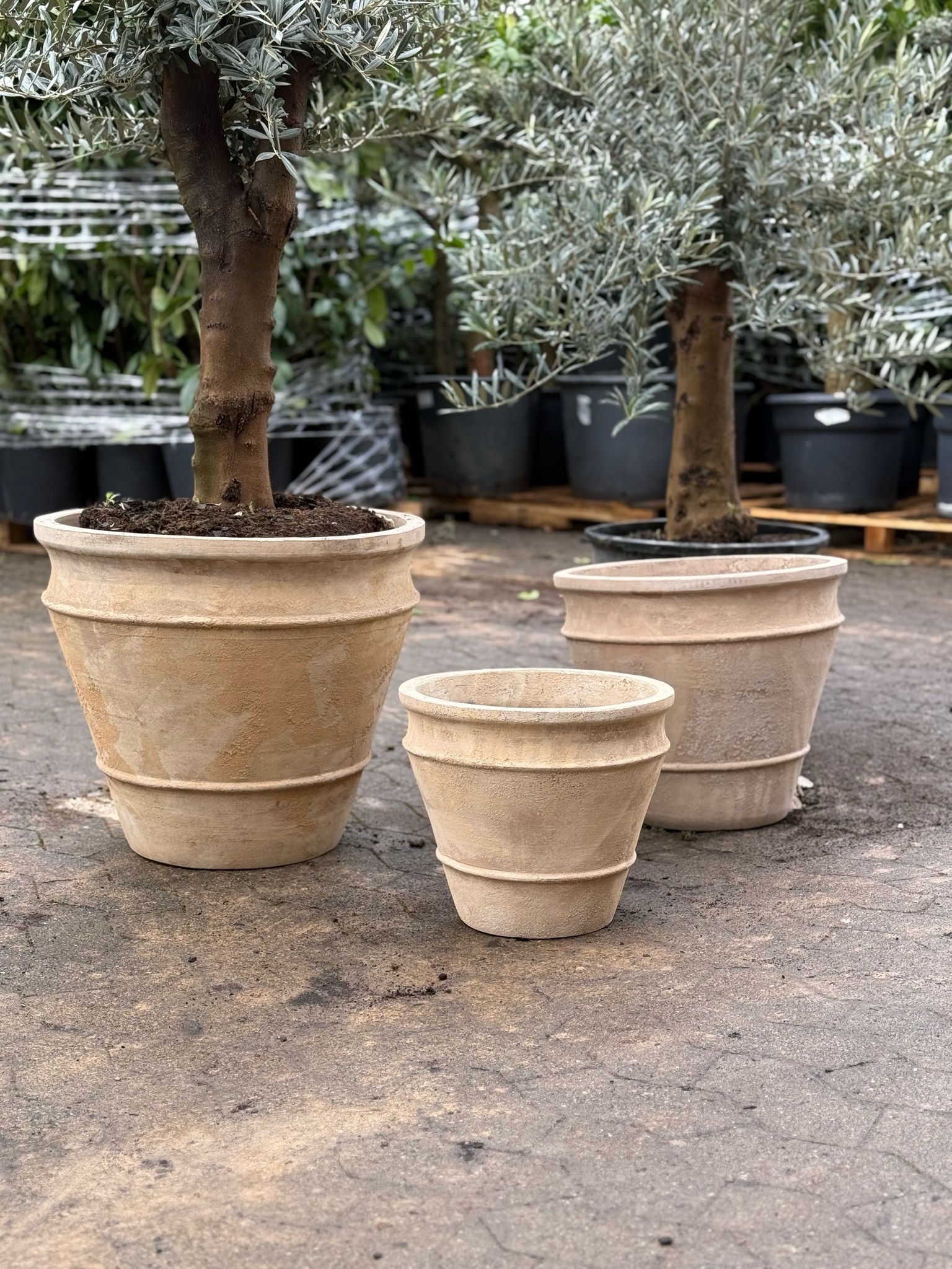 Havekrukke 'Floralia' - naturlig terrocotta