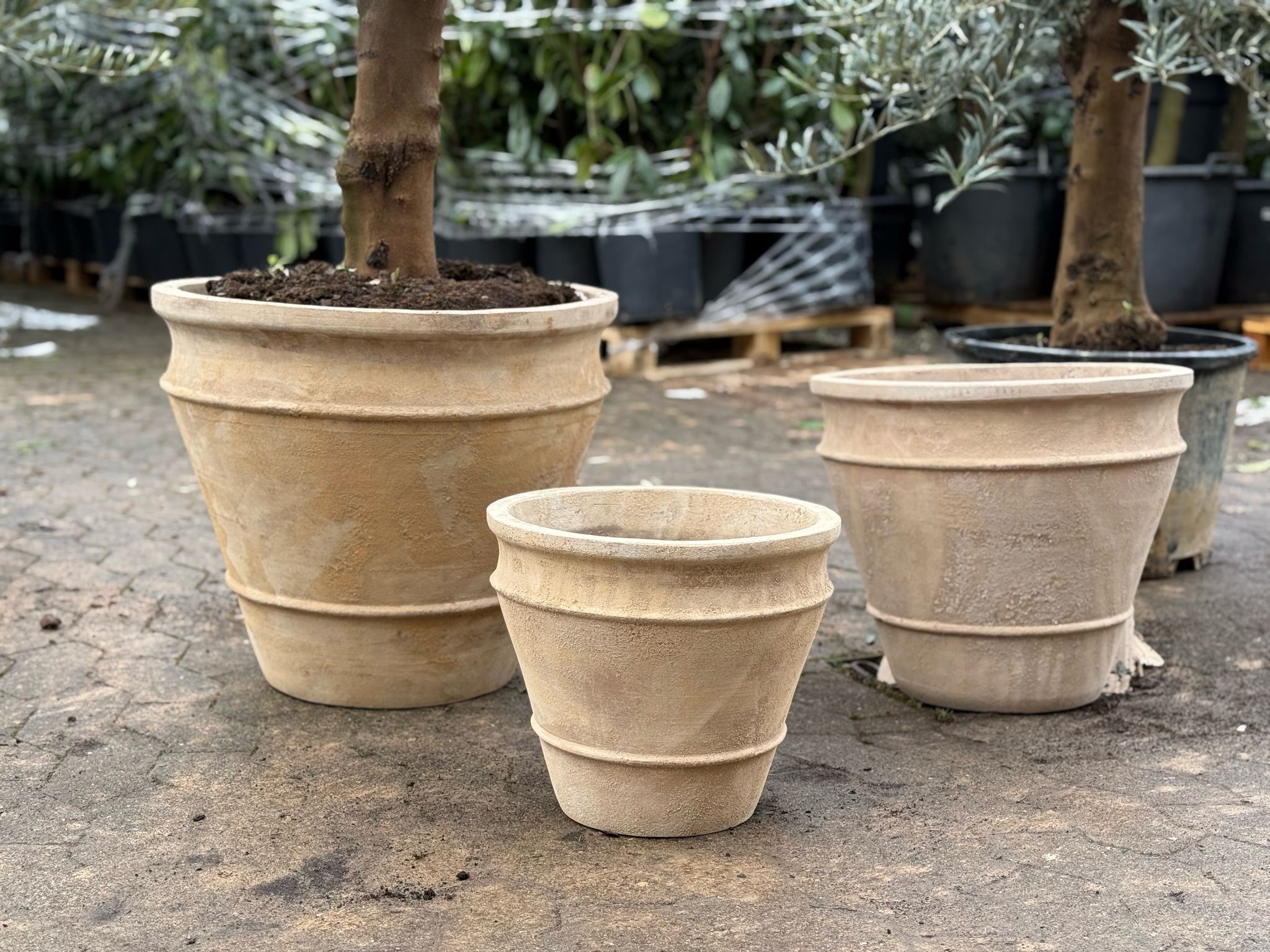 Havekrukke 'Floralia' - naturlig terrocotta