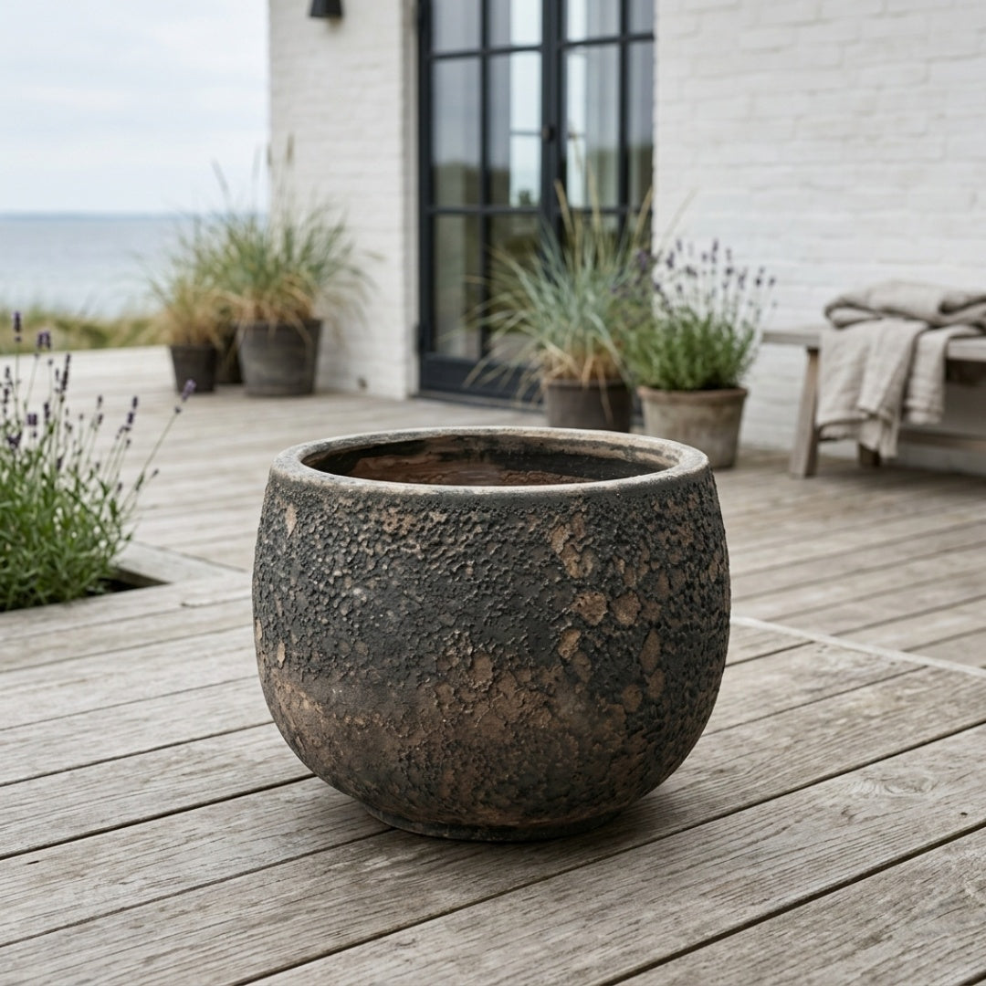 Havekrukke 'Bubble Rust"