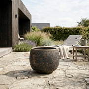 Havekrukke 'Bubble Rust"