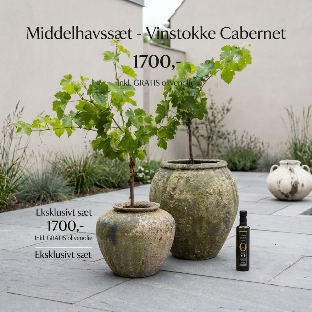 Vinstokke i Water Jar Atlantis & Parlour Krukke sæt